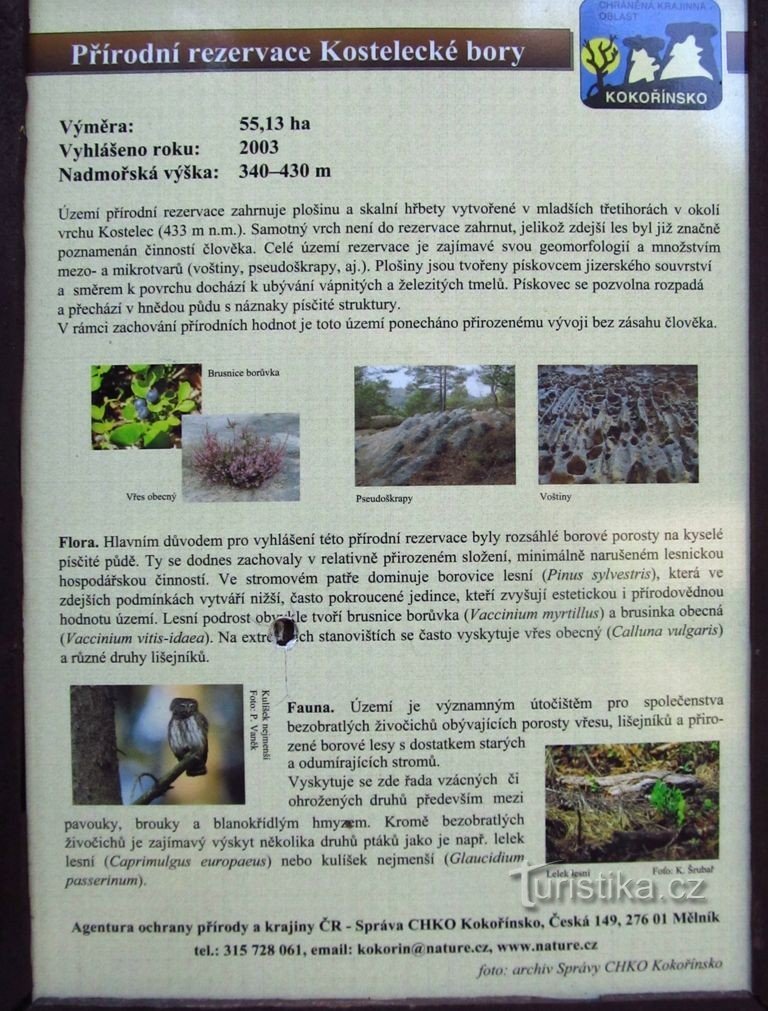 Informações sobre as florestas de Kostelecké