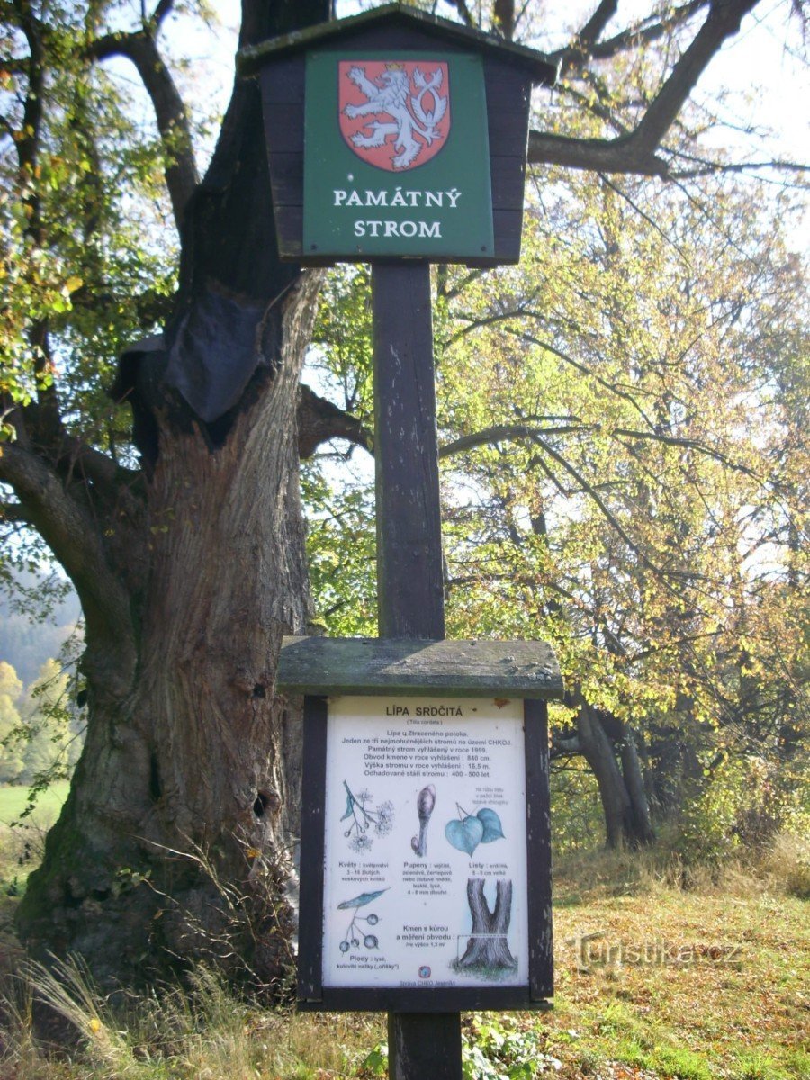 案内看板 看板あり