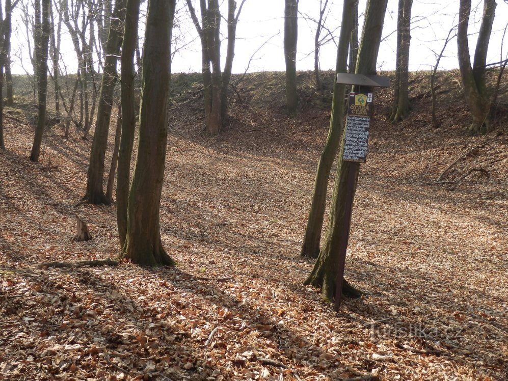 Informatiebord aan de Borstelweg