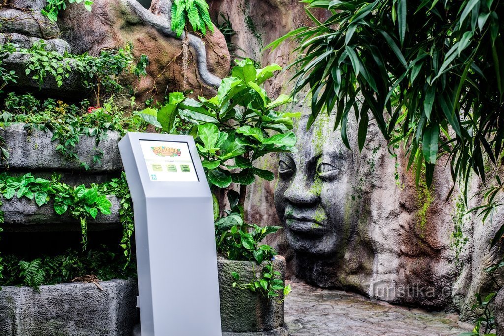 Information kiosk in front of the main butterfly feeder. (c) Butterfly House Papilonia Prague