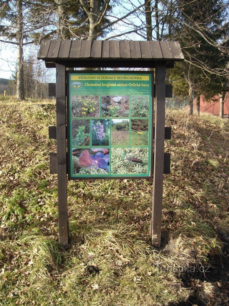 Panel de información