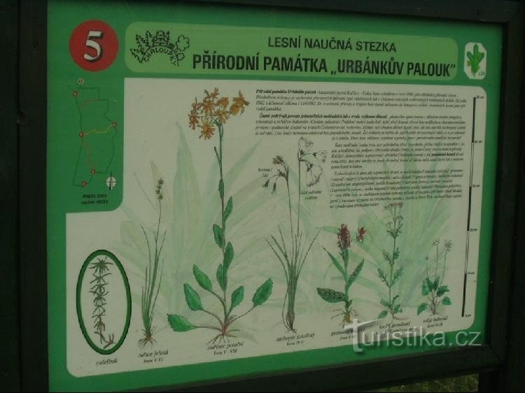 information panel at the protected area