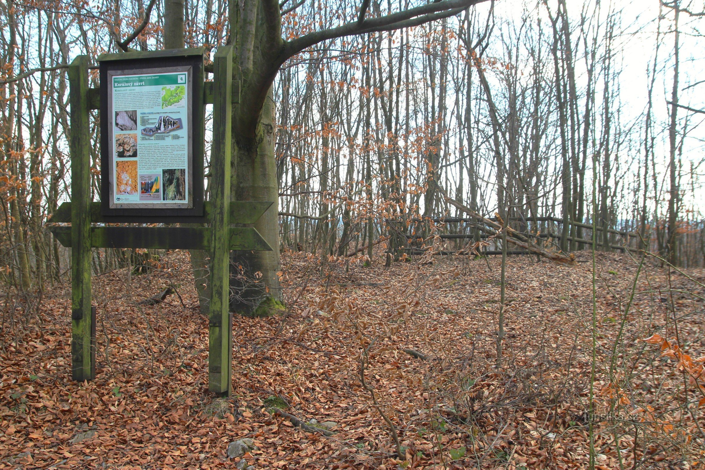 Information board of the educational trail, in the background behind the fence is the Coral Sinkhole