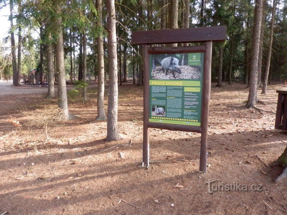 Information board in front of the paddock