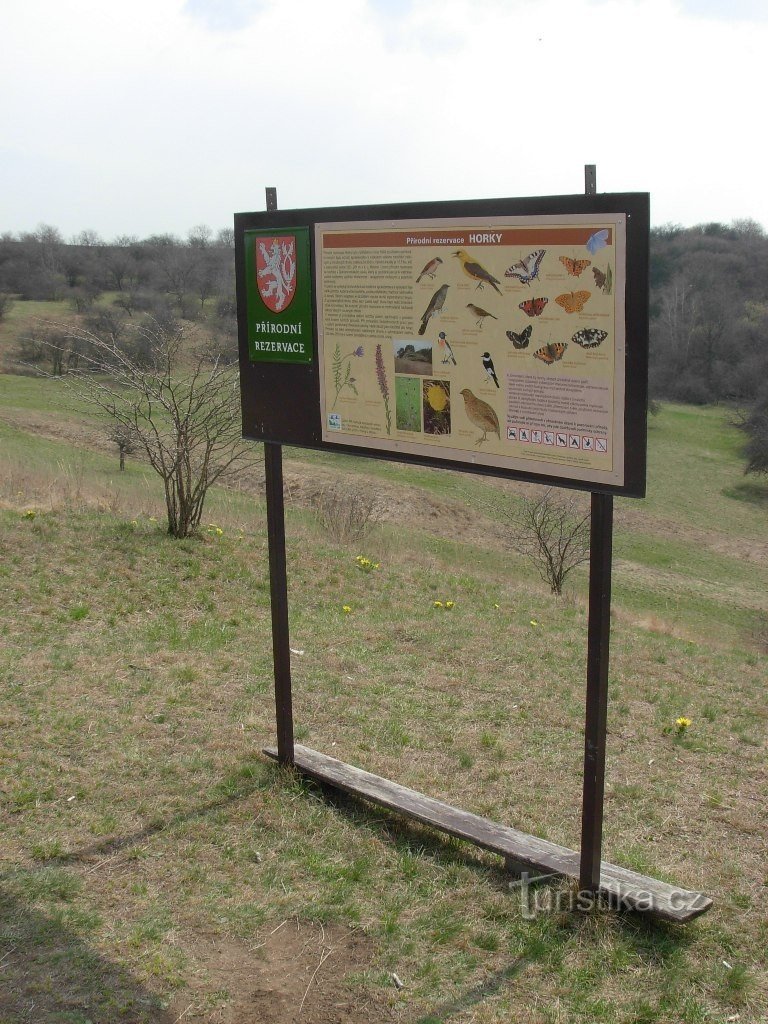 Tablica informacyjna z przedstawieniem rzadkich gatunków