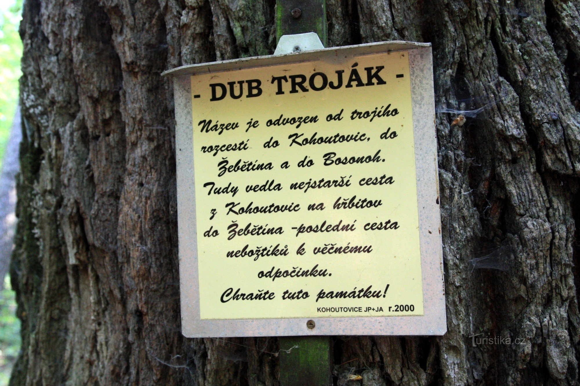 Tablica informacyjna na drzewie