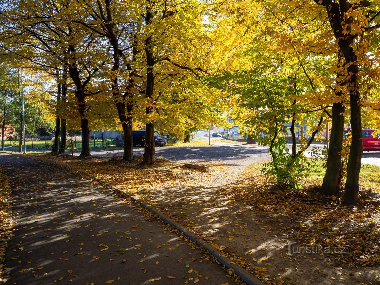 Pista în linie