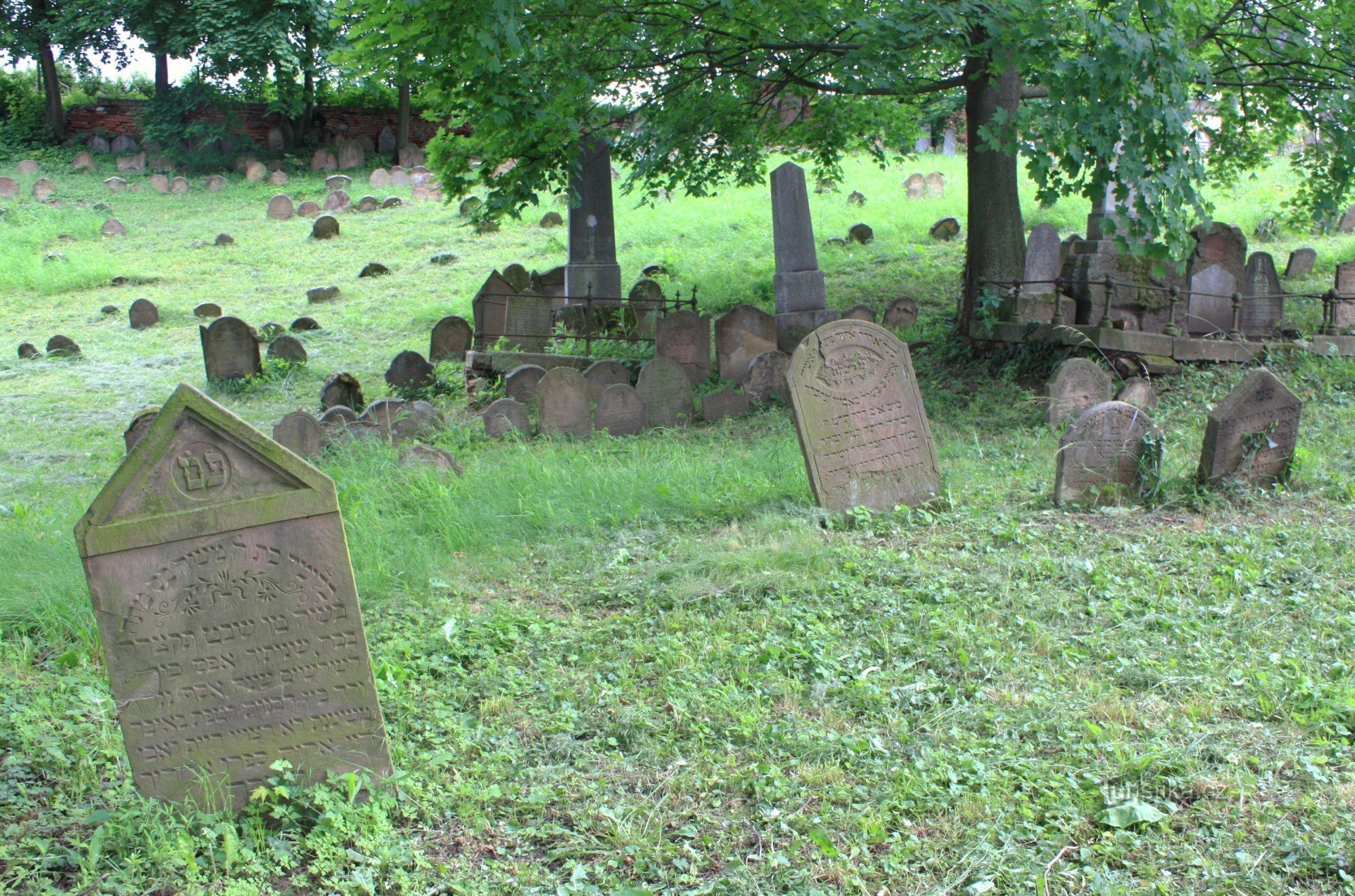 Ivančice - cimetière juif