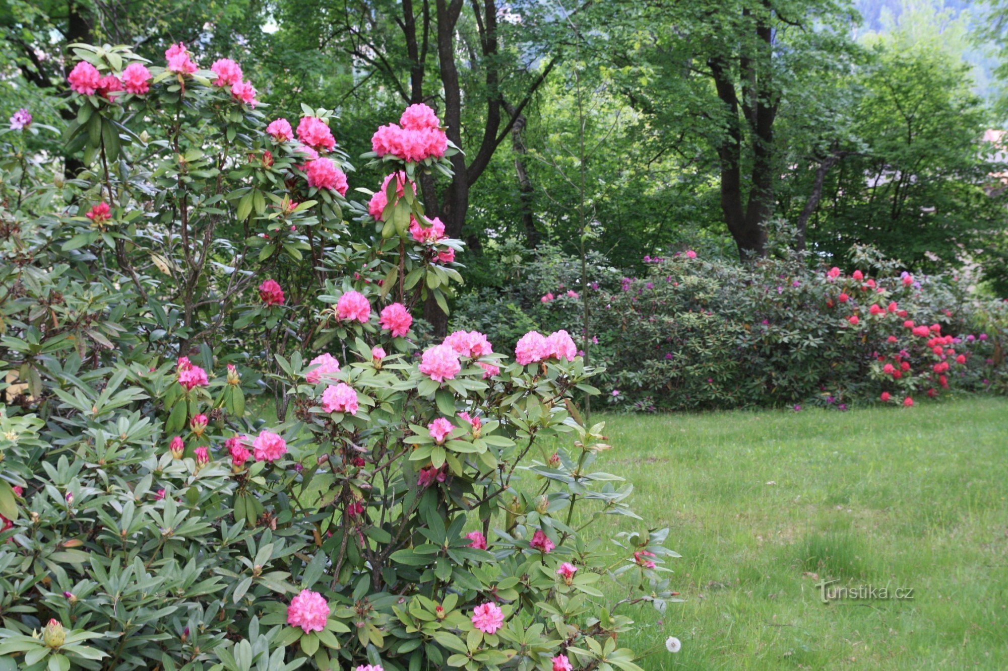 Jablonné nad Orlicí - městský park