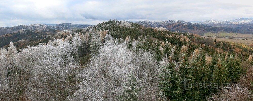 Как подняла нам настроение замерзшая Буковка