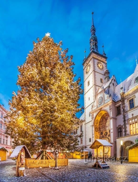 Qual é a melhor maneira de entrar no clima do Natal? No Advento Olomouc!