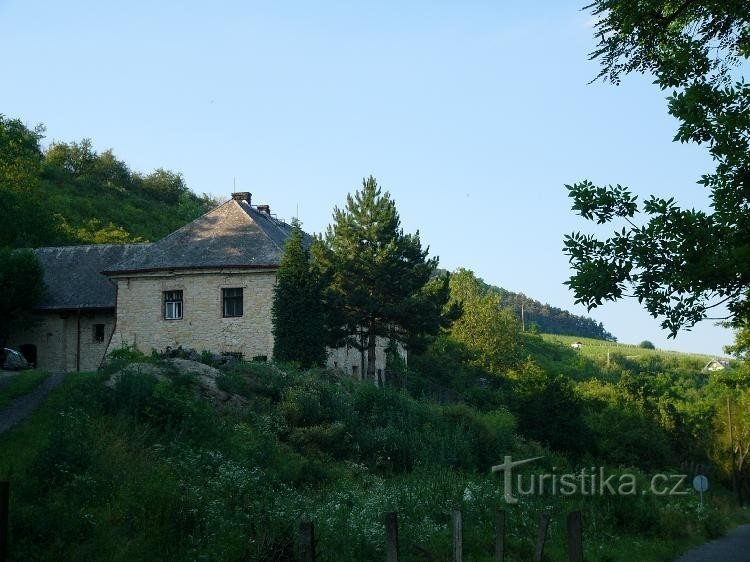 Giống như ở Provence