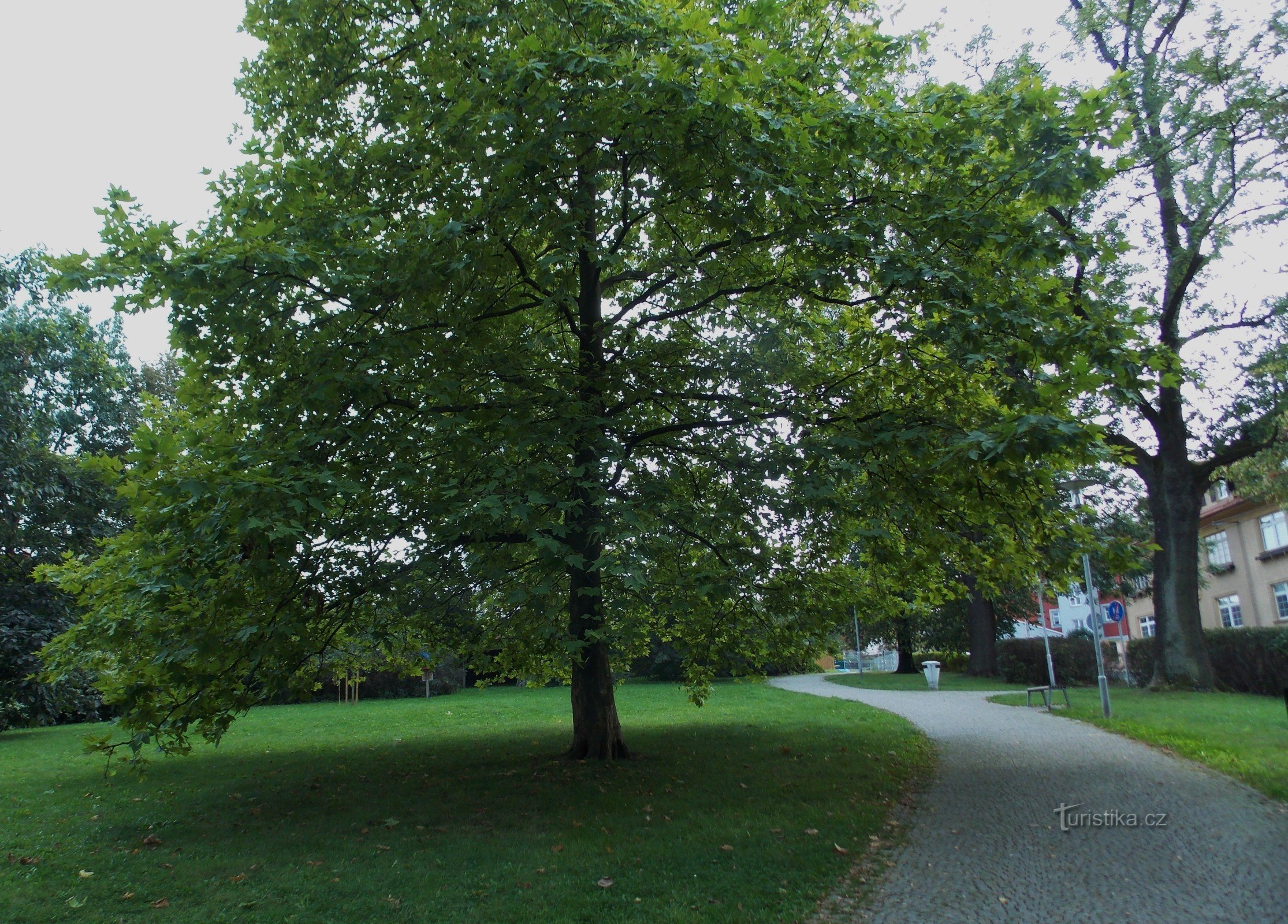 Janáčkovy sady - bypark i Nové Jičín