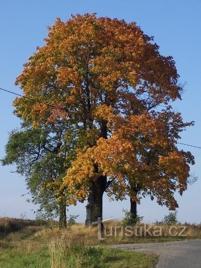 Jančí : traverser par la route, près du village