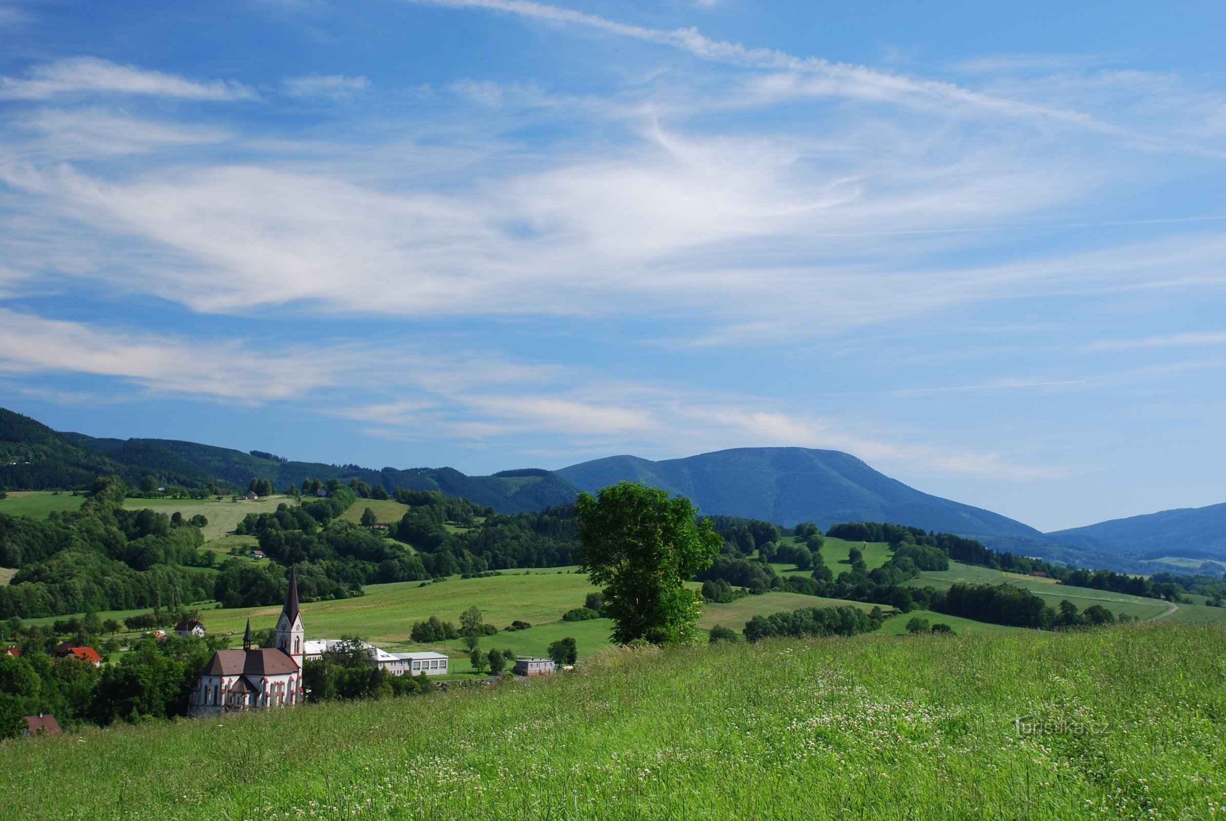 Janovice und Fichte