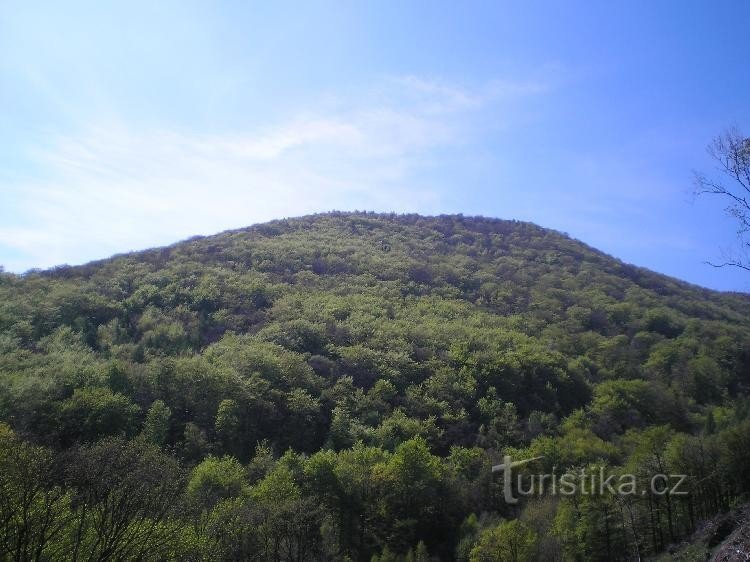 Jánský vrch: dal castello di Jezeří