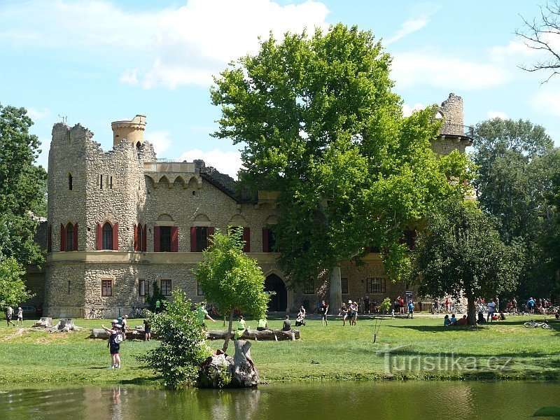 Jan's castle with plane tree