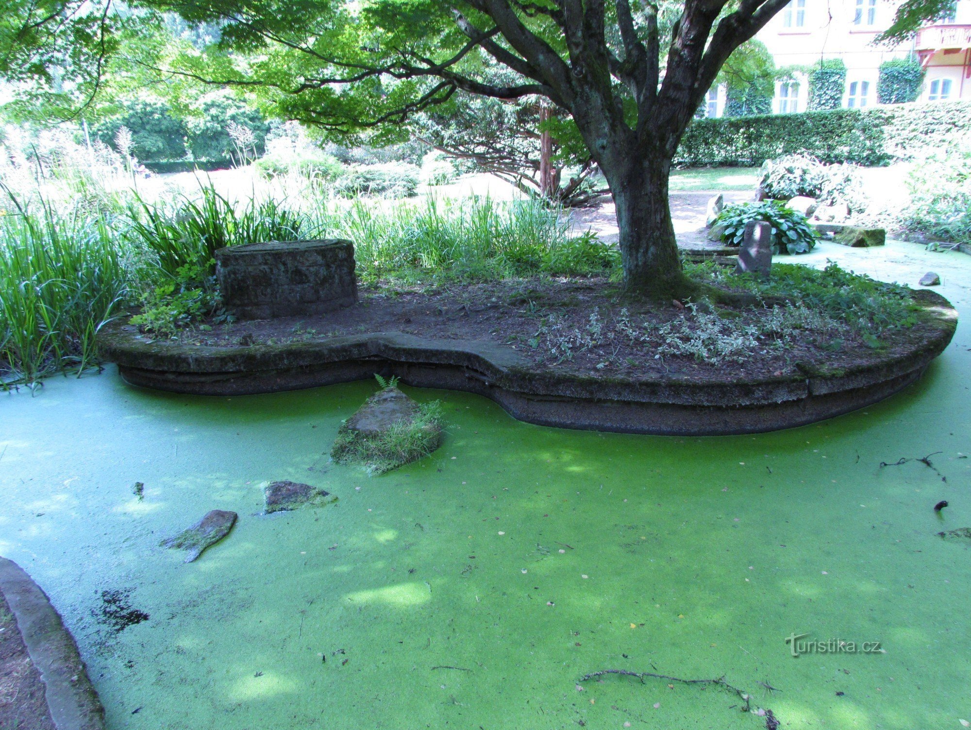 Jardim japonês