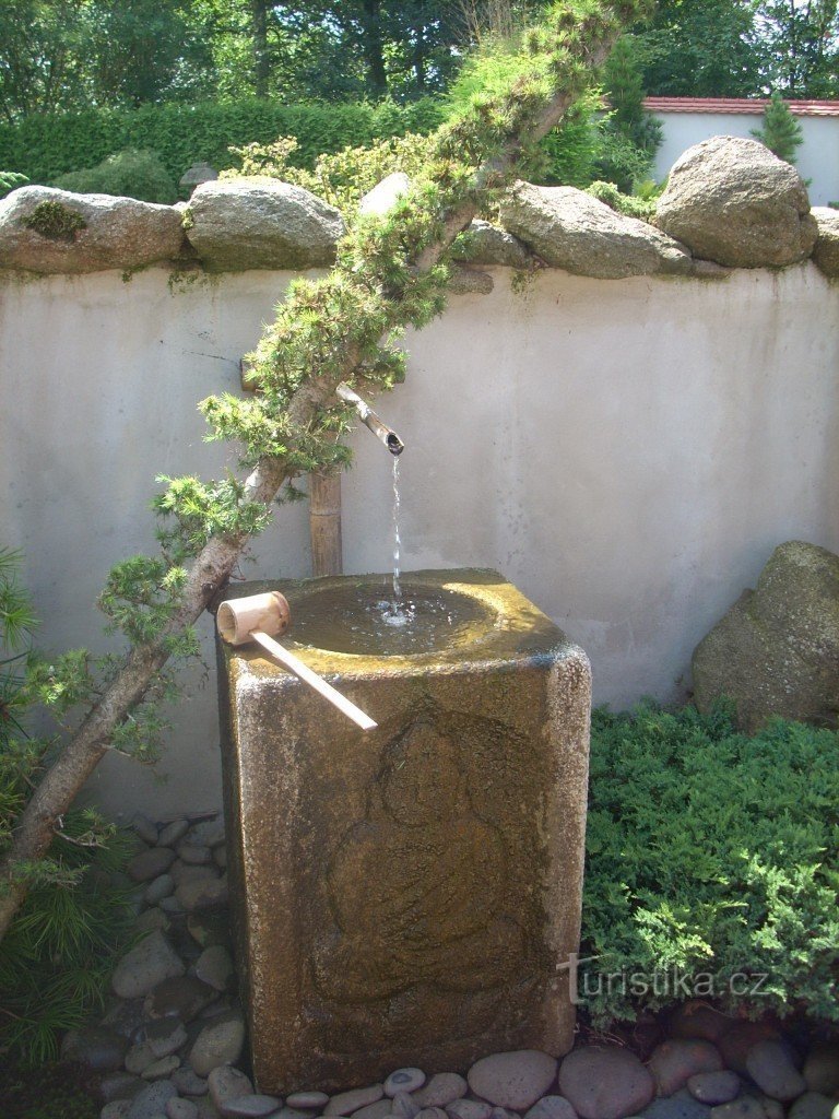 Jardim japonês Březová - Oleško