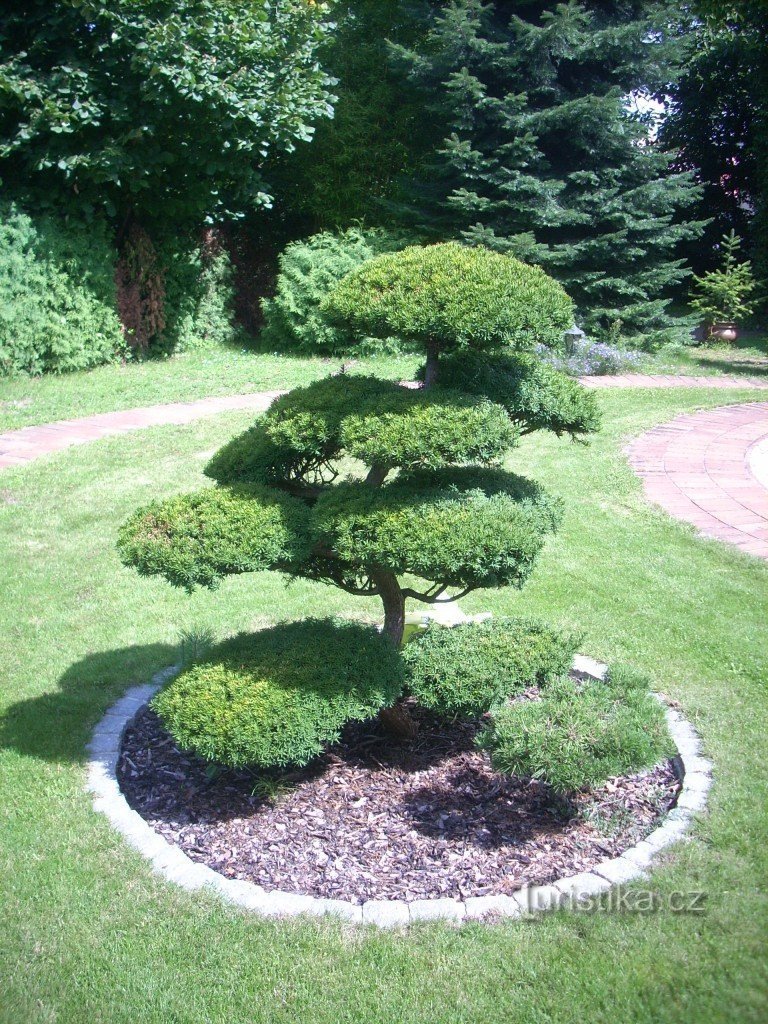 Jardim japonês Březová-Oleško