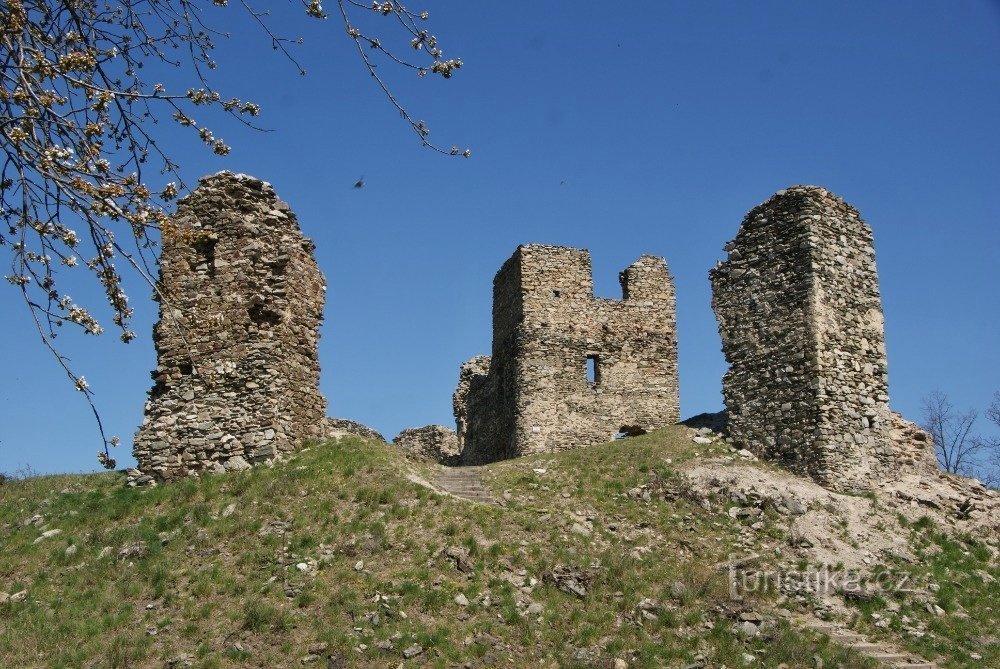 Frühling Brnice