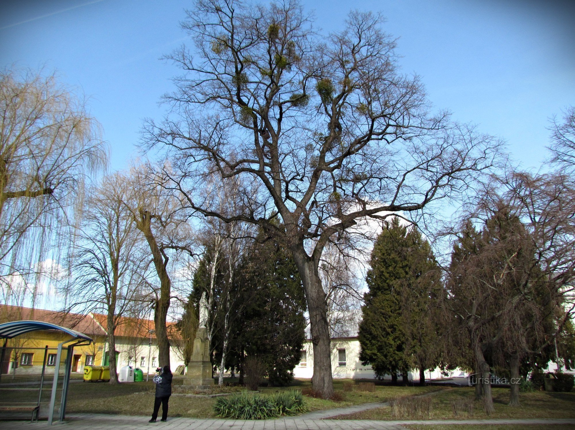 Forårsvandring gennem Tlumačov