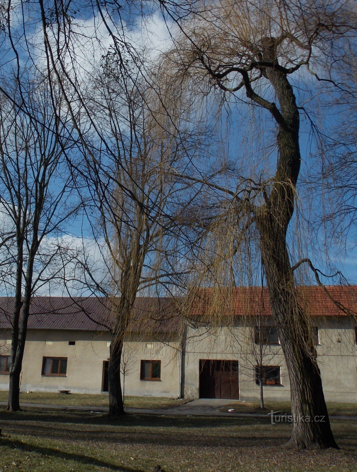 Promenade printanière à travers Tlumačov