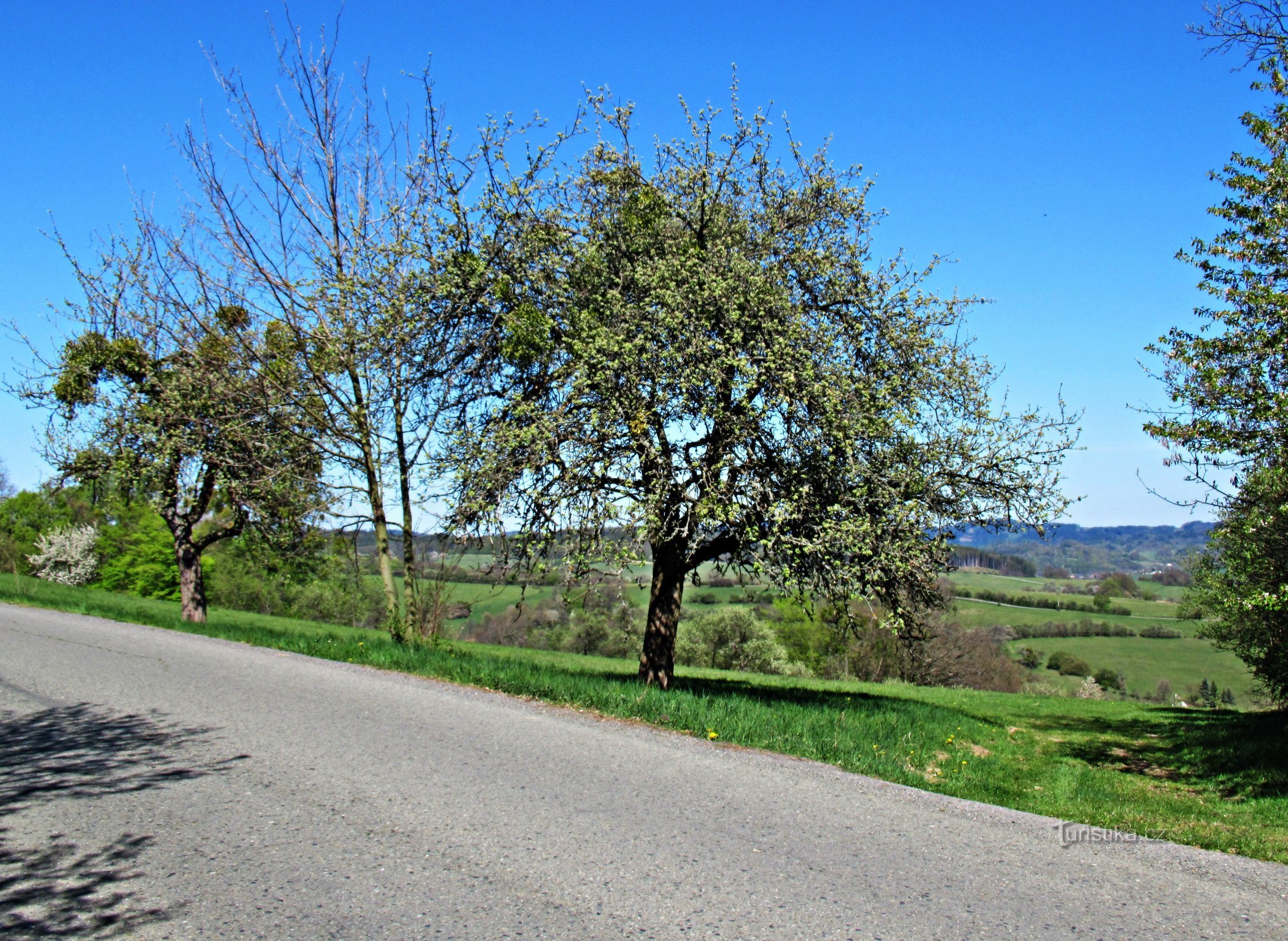 从 Vizovice 经 Raková 和 Zádveřice 春季步行