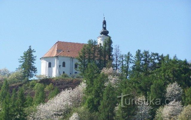 Весняне вугілля