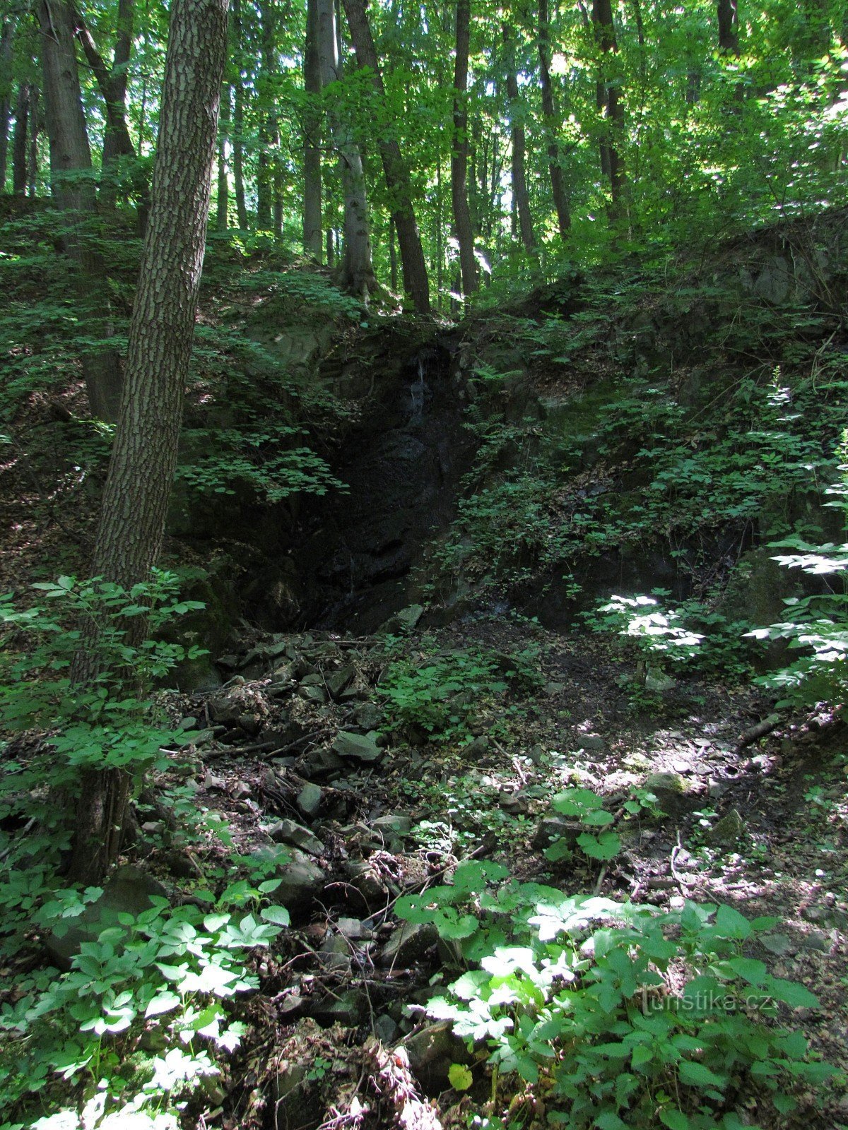 Frühling Wasserfall