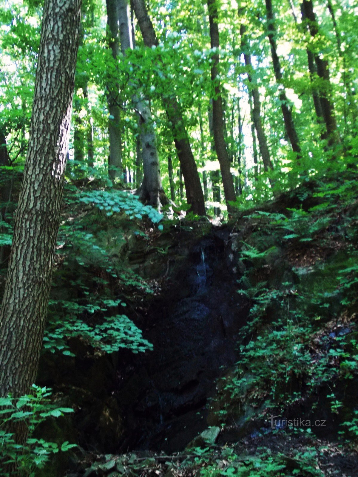 Lentewaterval boven de Rybáre-nederzetting in de buurt van de stad Drahotuše