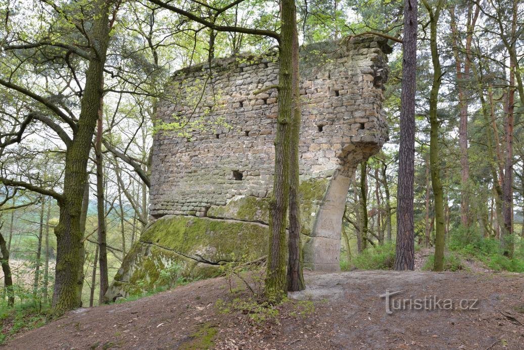 Voyages de printemps dans la nature dans la région de Mach