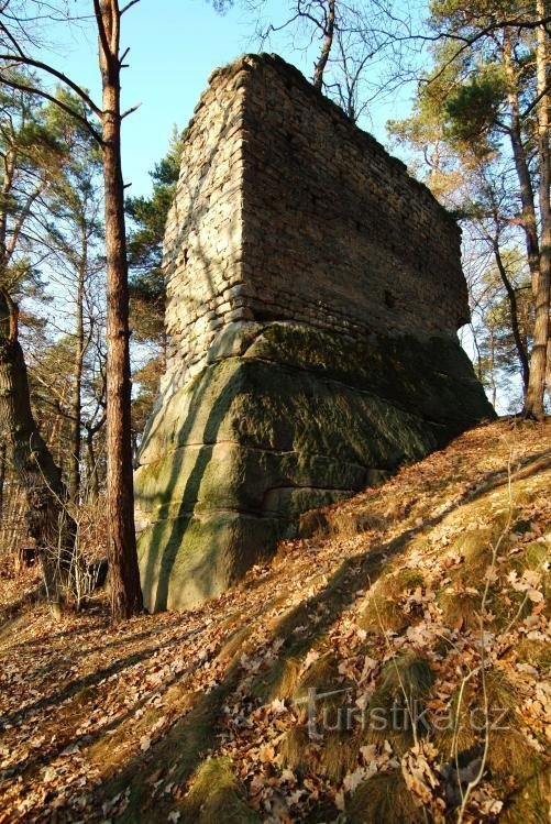 Frühlingsausflüge in die Natur im Machgebiet