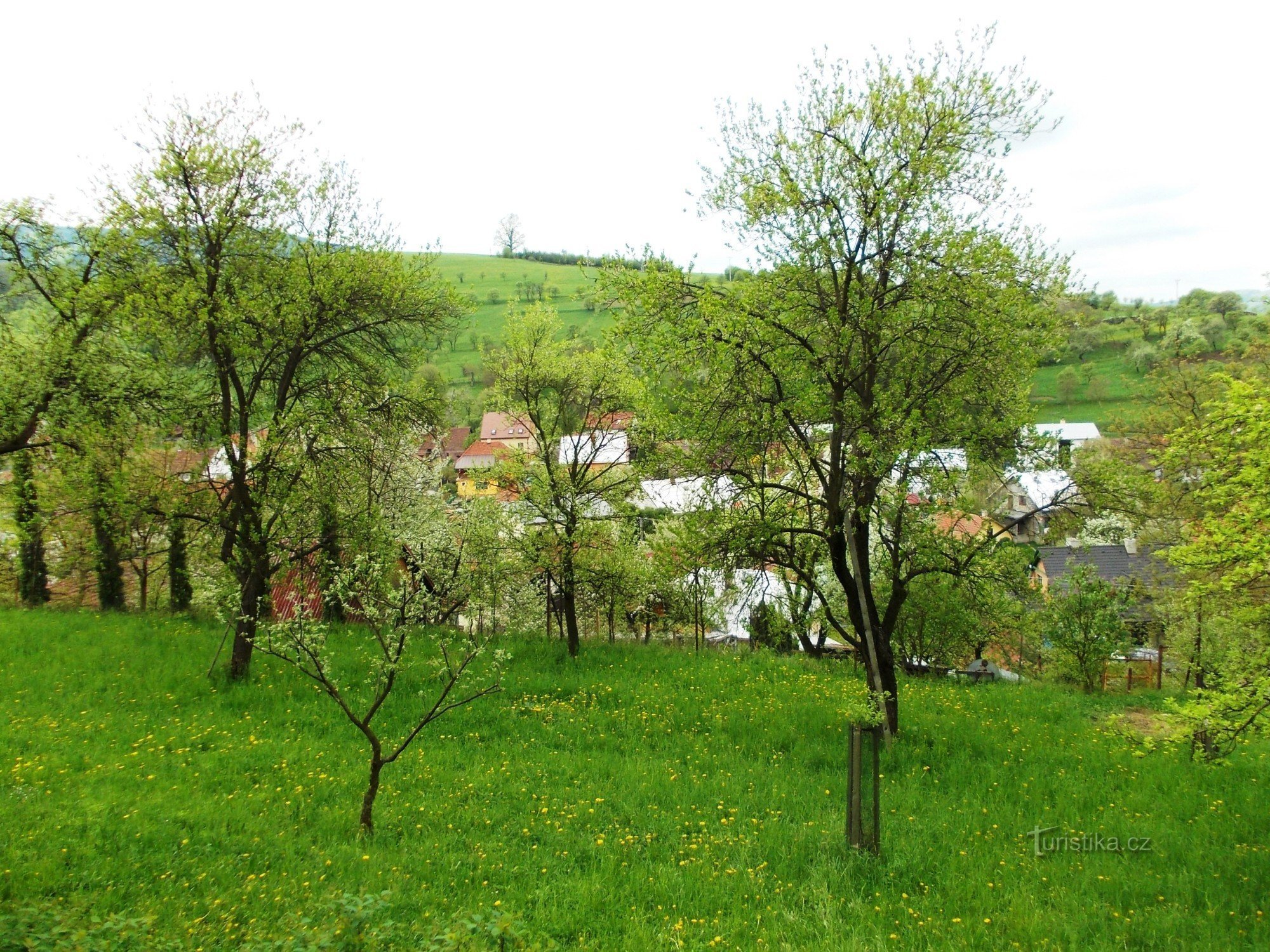 vista de primavera