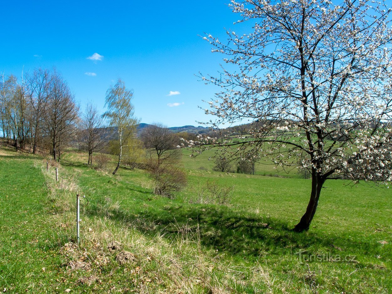 A primavera é provavelmente a mais bonita aqui