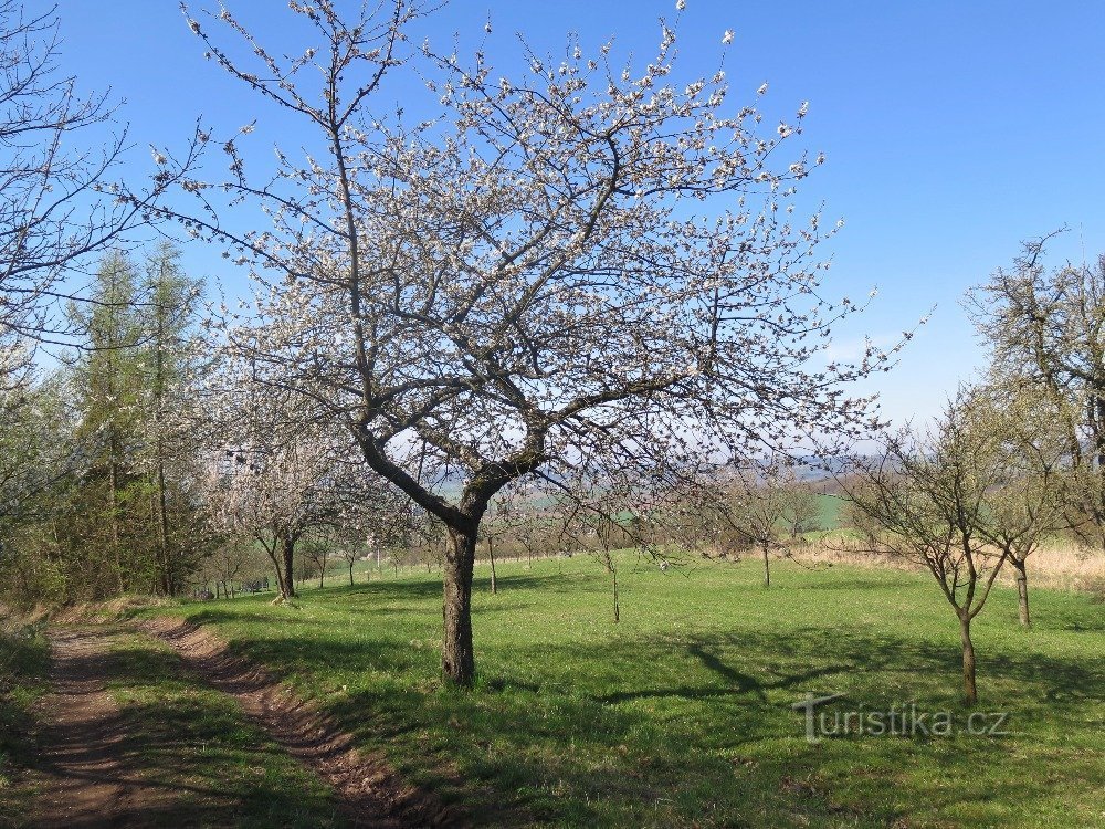 izvir nad Zálesí