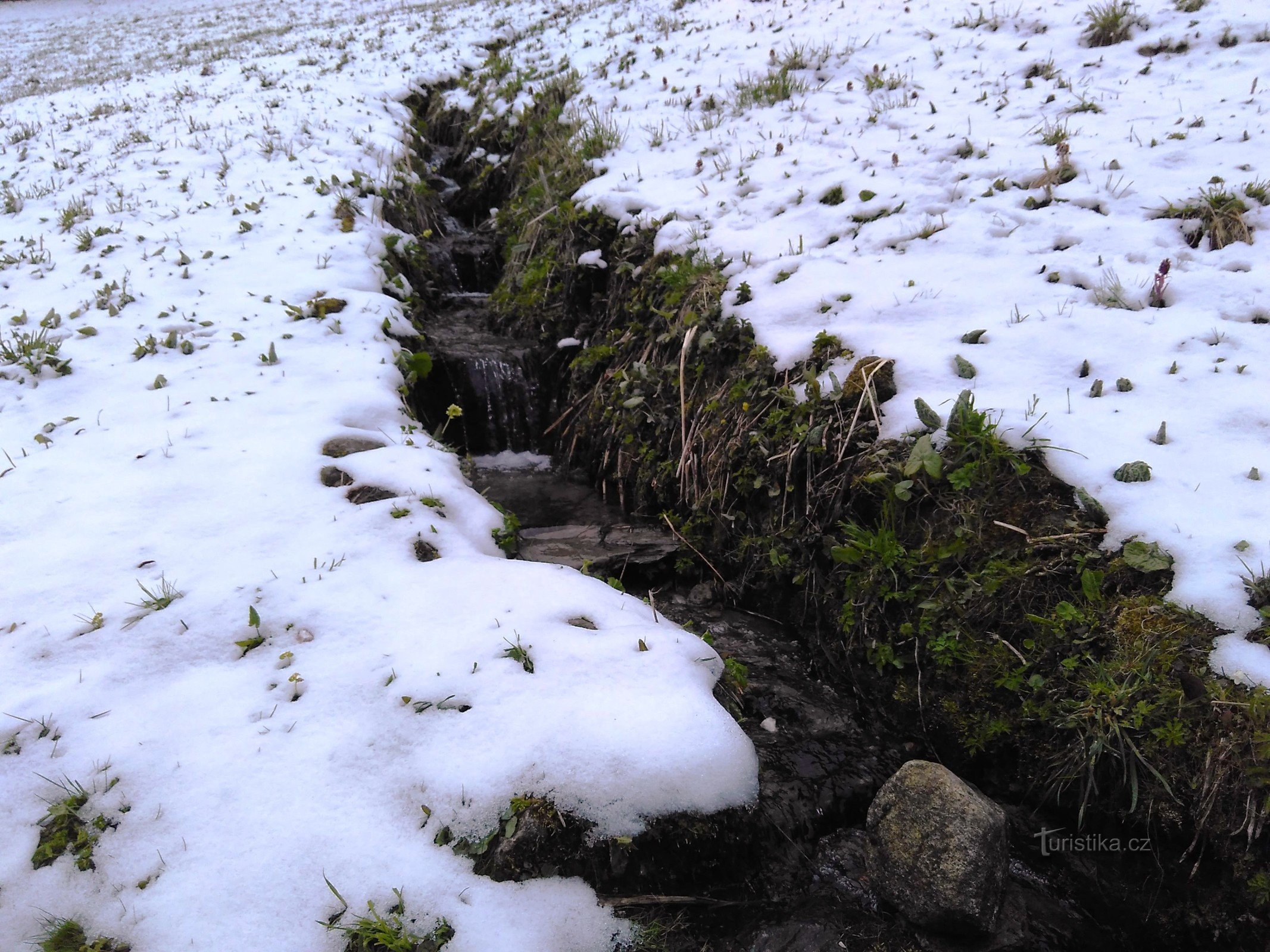 ya llega la primavera