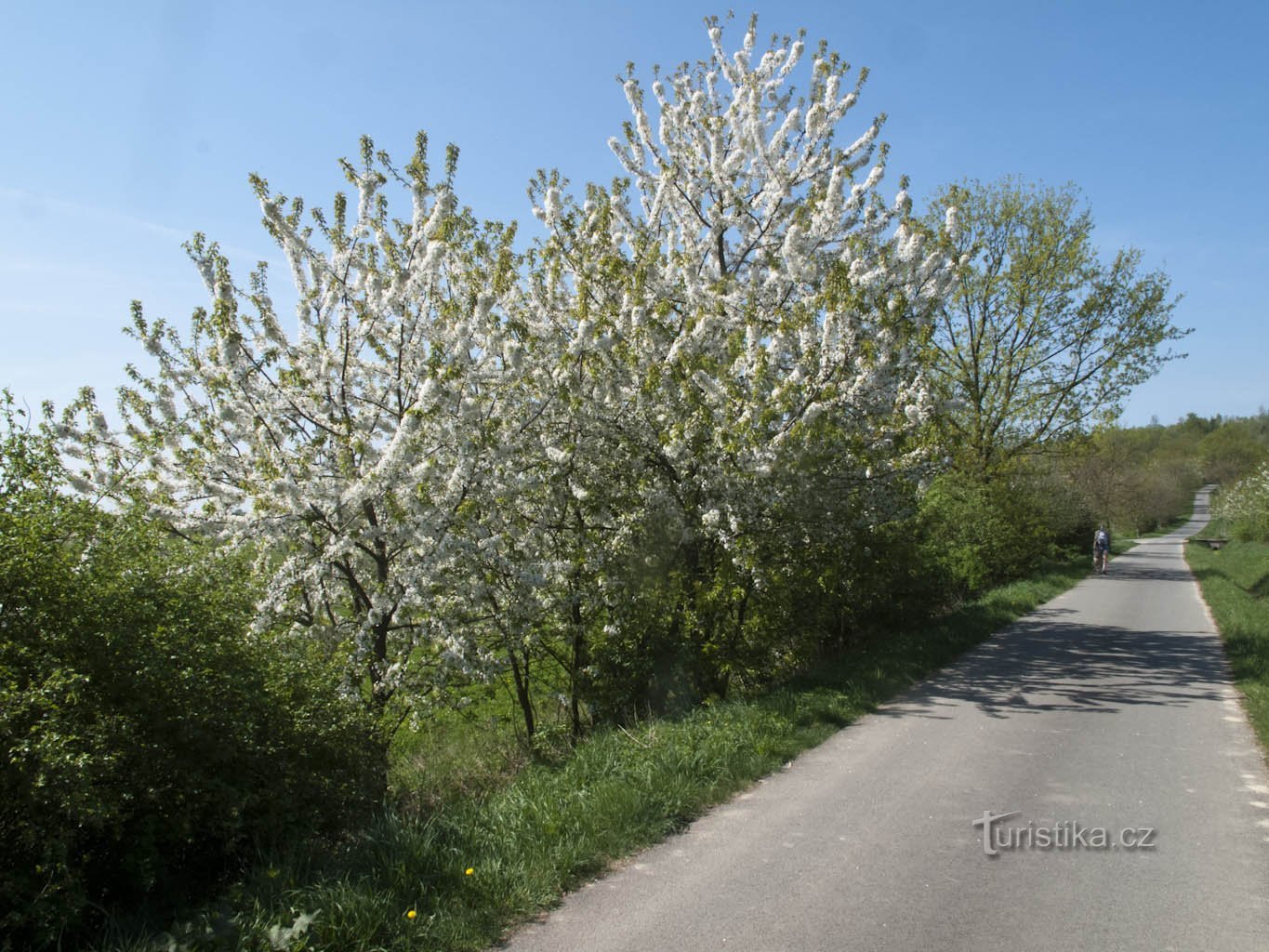 Весна в Блудовечке