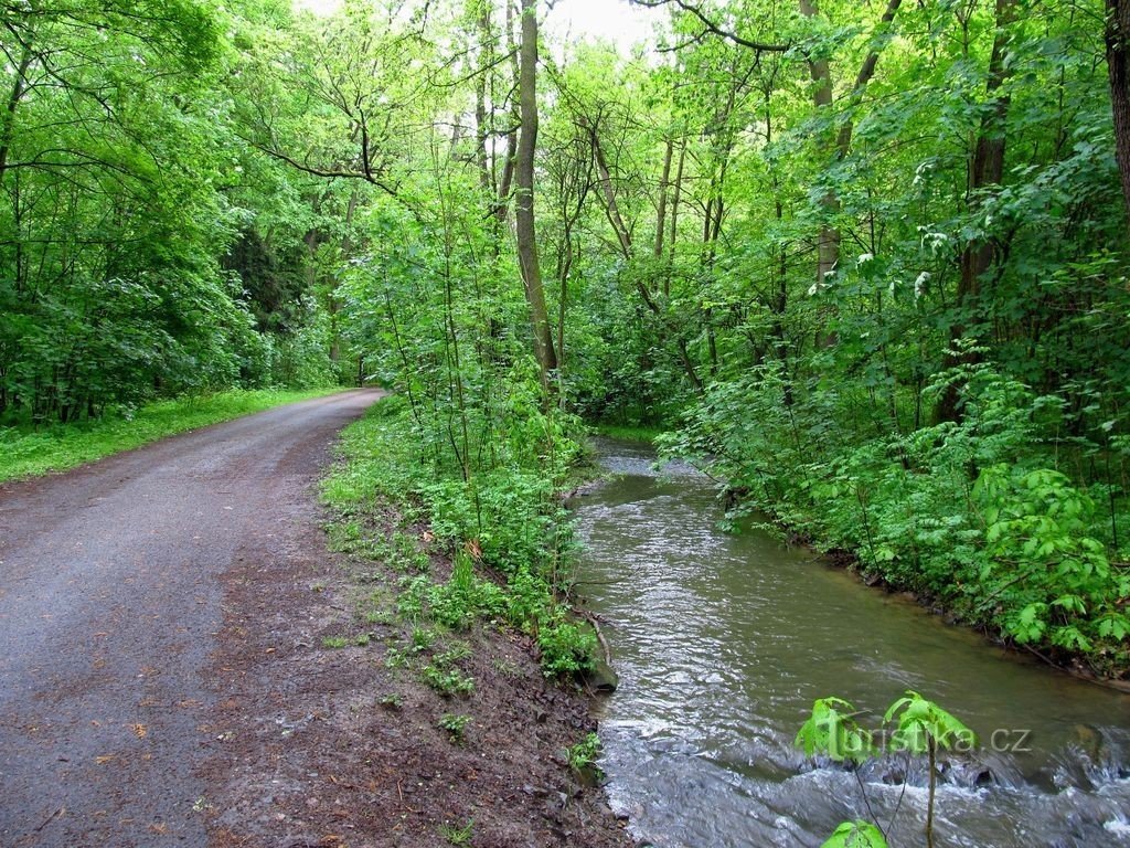 Primavera na ravina de Modřanská