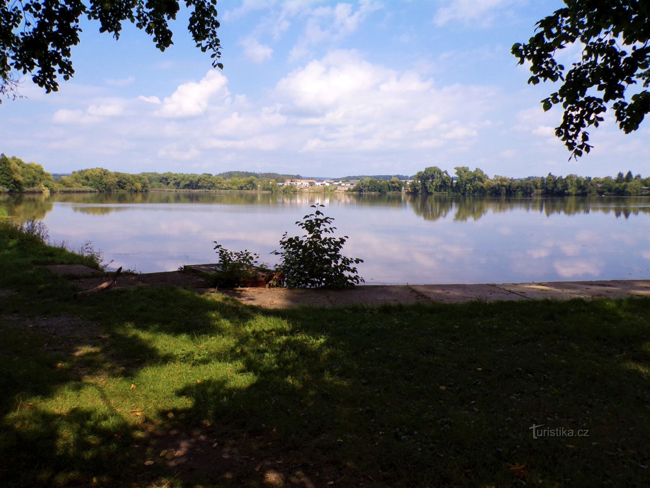 Jaroměřský pond (Jaroměř, 14.9.2021/XNUMX/XNUMX)