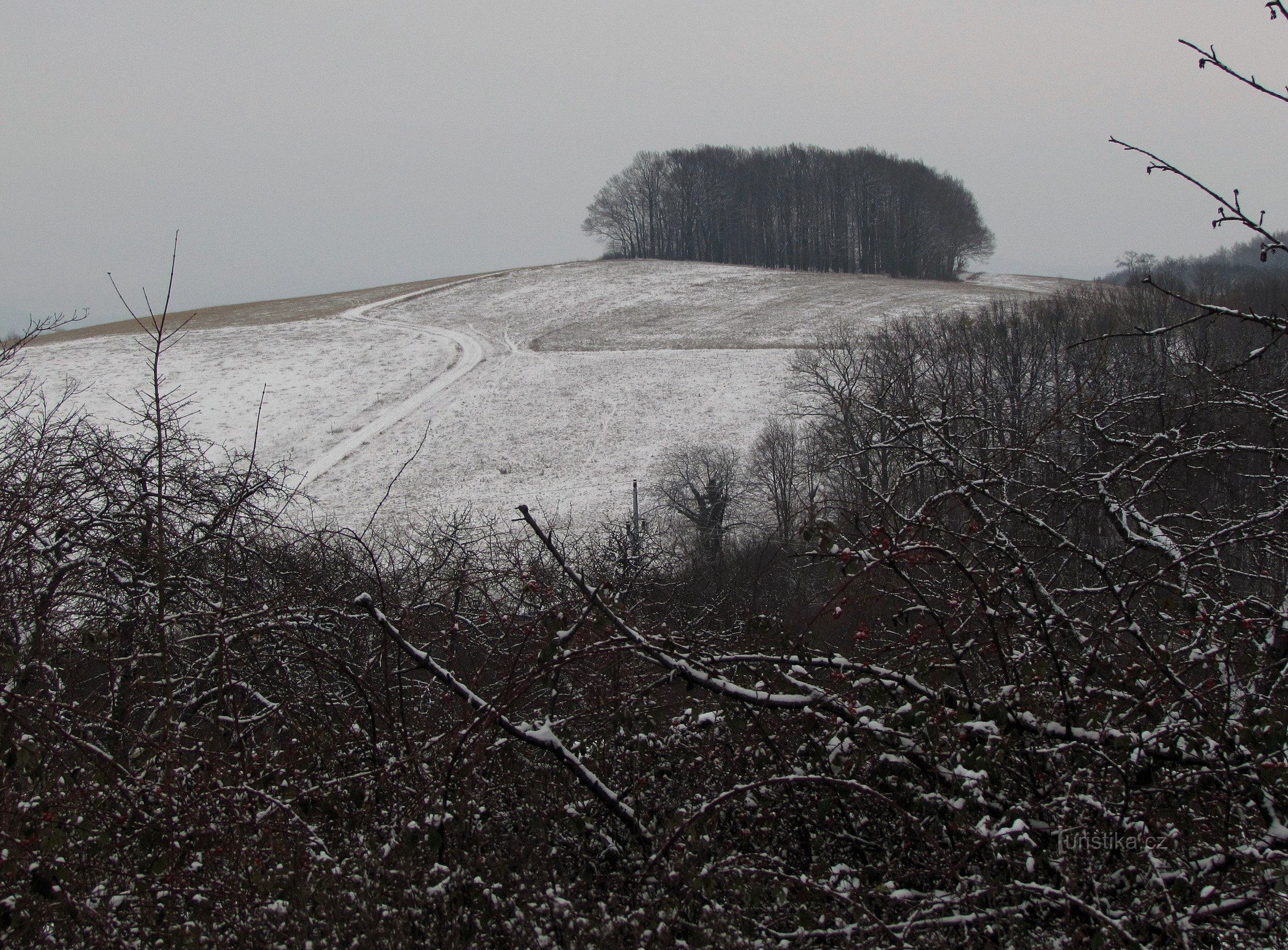 Jaroslavski pogledi