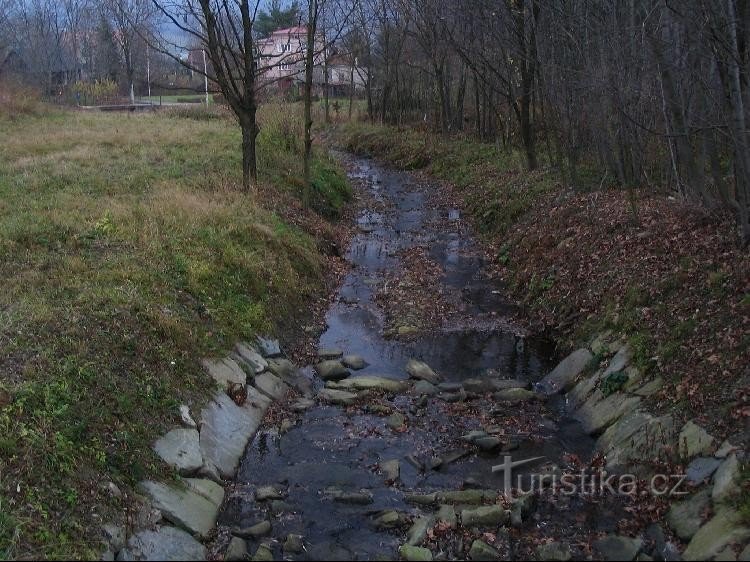 Ruscello di cenere