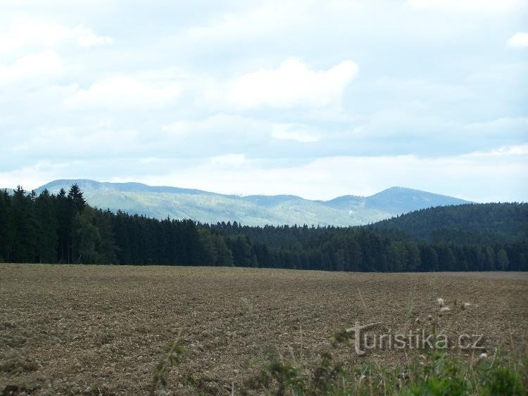 Javoří Hory: Utsikt från Zdoňov på en del av åsen (Ruprechtický Špičák till höger)