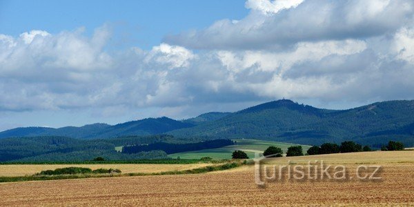 Javoří hory s nejvyšším vrcholem. Foto pro Kladské pomezí: Jan Záliš