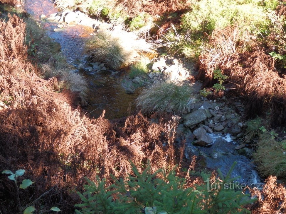 arroyo del arce