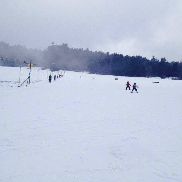 Maple ski slope