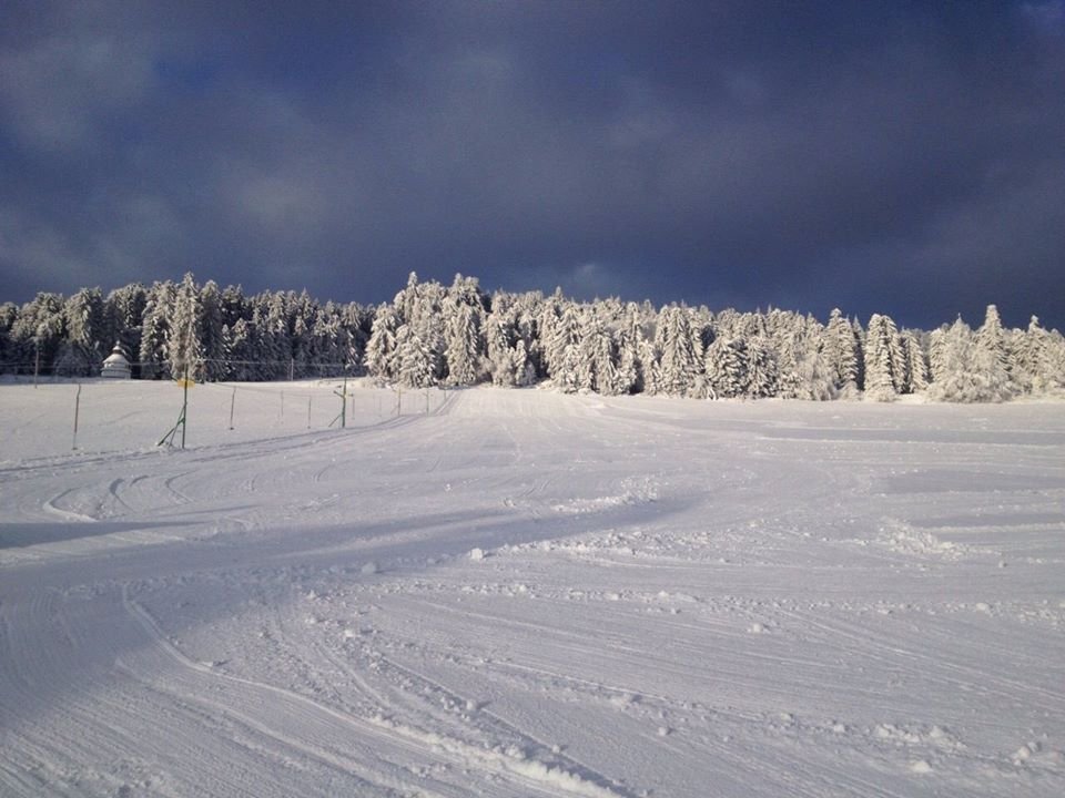 Javorjevo pobočje