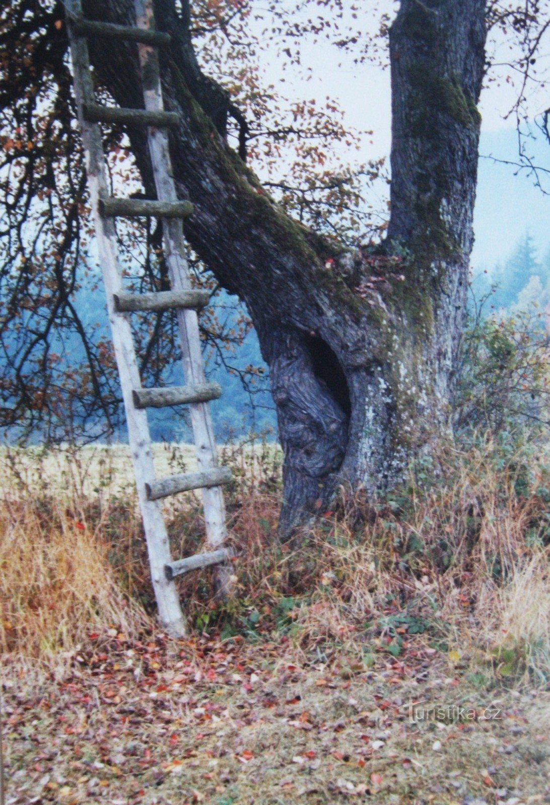 LÖNN eller fara är mitt element... (Retro 1984)