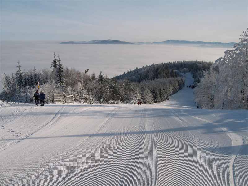 Klonowe Wzgórze