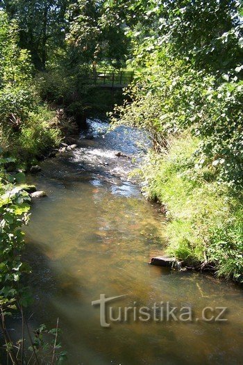 Nous contournons le ruisseau Svitavka